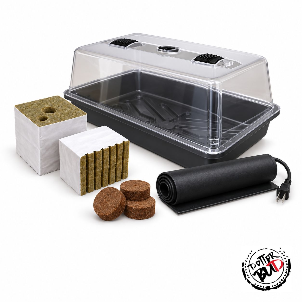 Germinazione