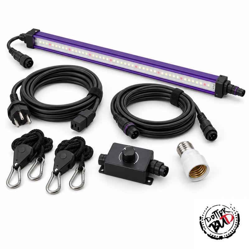 Accessori-Illuminazione