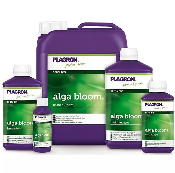 PLAGRON ALGA BLOOM