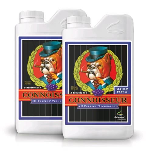 Ph Perfect Connoisseur Bloom A+b 2X