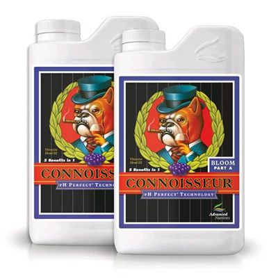 Ph Perfect Connoisseur Bloom A+b 2X Ph Perfect Connoisseur Bloom A+b 2X