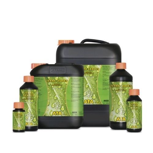 Ata Terra Leaves Ata Terra Leaves