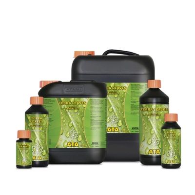 Ata Terra Leaves Ata Terra Leaves