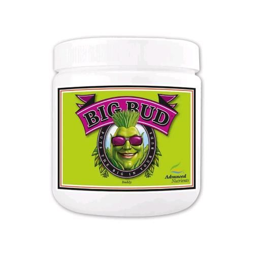 Big Bud Powder In Polvere 2.5KG Big Bud Powder In Polvere 2.5KG