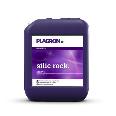 Silic Rock