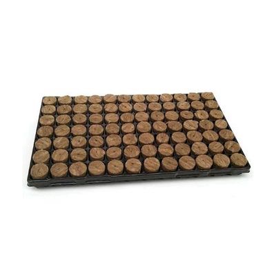 AGRA-WOOL - VASSOIO 84 PLUG