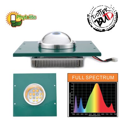 Phytolite led gx modulo Cob 30w ciclo completo Agro Cree xte