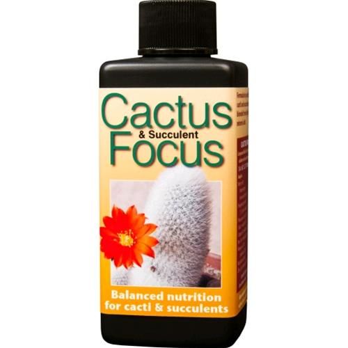Cactus Focus Cactus Focus