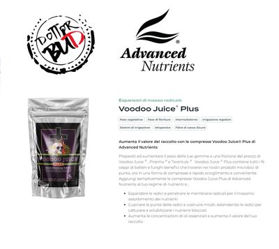 Voodoo Juice Plus 10 Compresse