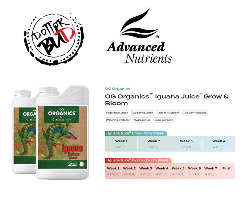 Organic-oim Iguana Juice Bloom