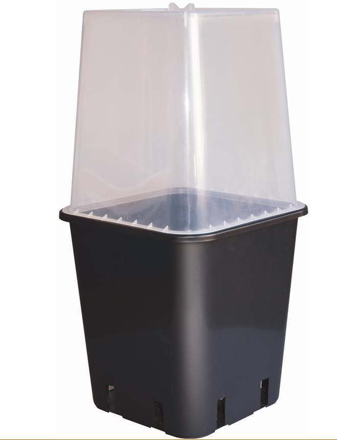 Vaso Serra Trasparente con Coperchio per Vasi da 11 Litri o Più Vaso serra trasparente P & b con coperchio per vasi da 11 litri o più, ideale per microclima umido