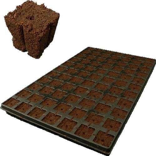 Vassoio Eazy Plug 77 pz per Germinazione – HGA Garden Vassoio Eazy Plug 77 pezzi per germinazione semi e talee HGA Garden