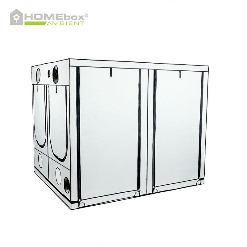 Growbox Homebox Ambient Q240 240x240x200cm tenda di coltivazione professionale interno