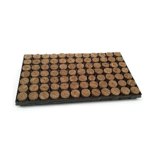 Vassoio germinazione 84 plug lana di roccia Agra-Wool 38x35mm per semina e talee