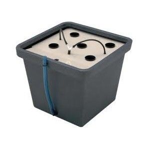 CultiMate Aero Ø 5 cm sistema aeroponico compatto Terra Aquatica GHE per coltivazione senza substra…