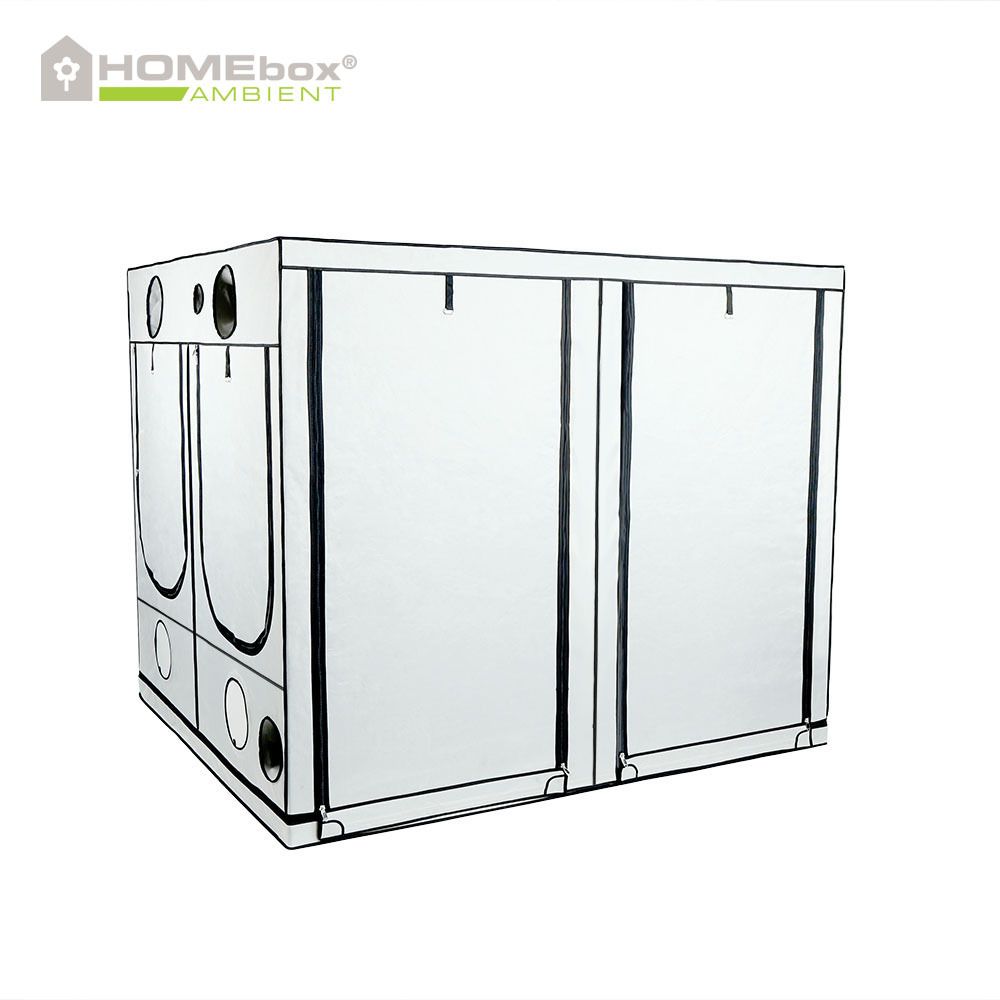 Homebox Ambient Q200 Grow Box 200x200x200 cm Homebox Ambient Q200 grow box 200x200x200 cm tenda coltivazione indoor professionale