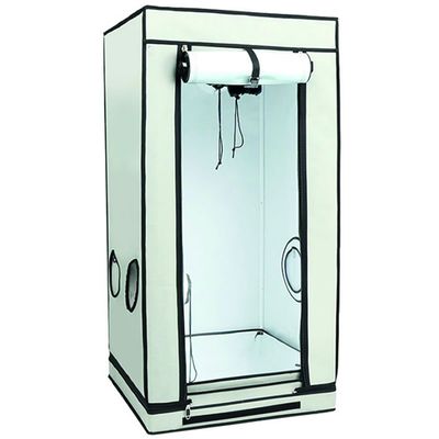 Homebox Ambient Q80+ grow box 80x80x180 cm tenda coltivazione indoor professionale