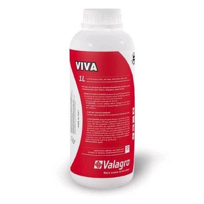 Viva Viva