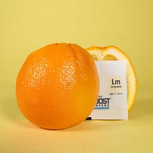 Integra Boost Terpene 12 Pz Sfusi Limonene 4 Gr Rh 62%