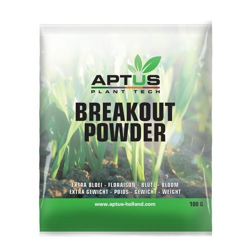 Breakout Powder Breakout Powder