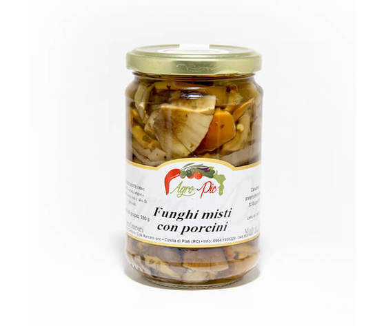 Funghi misti con porcini