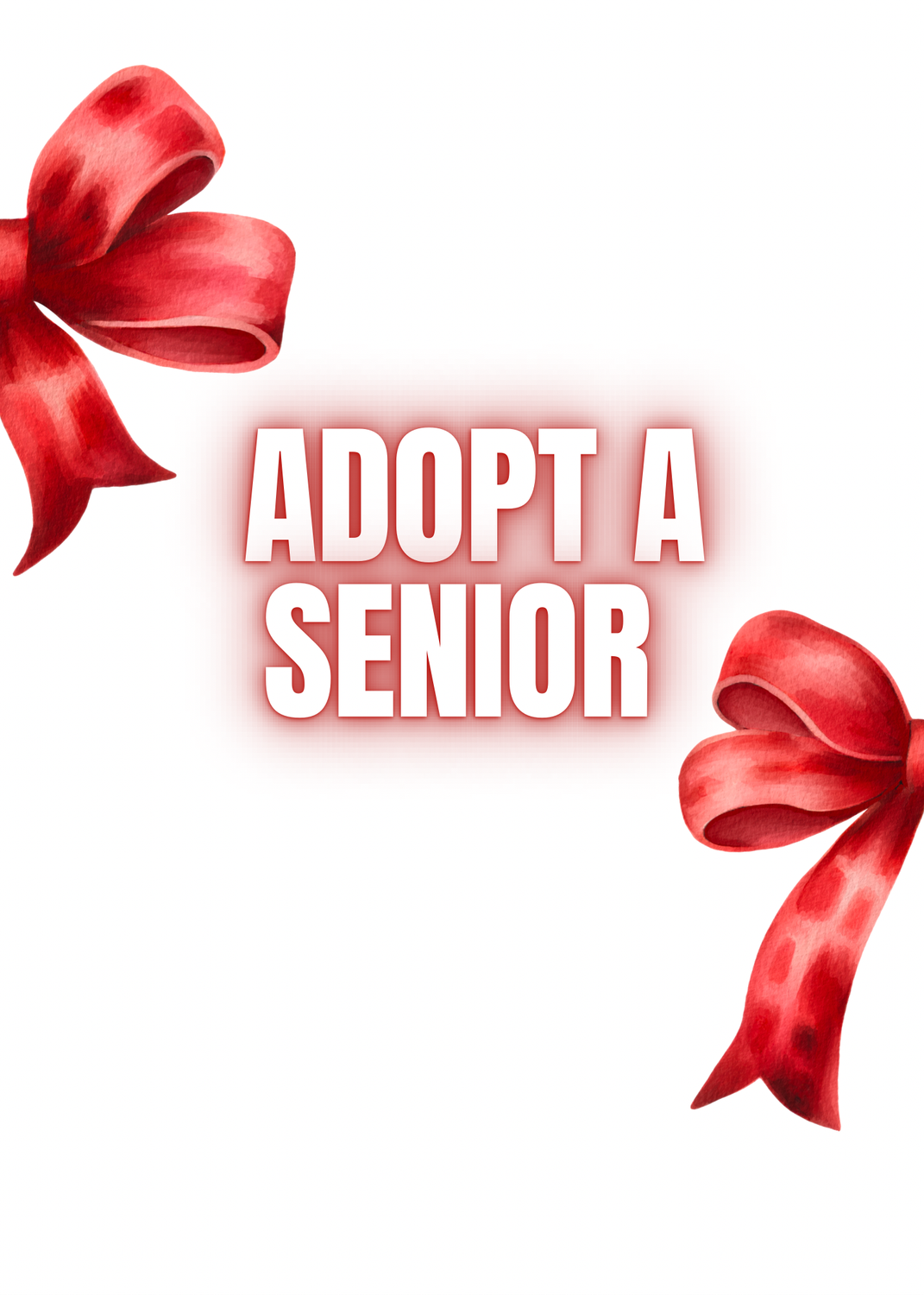 Adopt A Senior