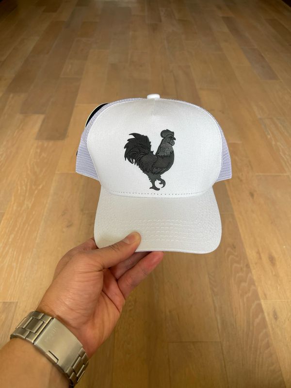 Gallo negro