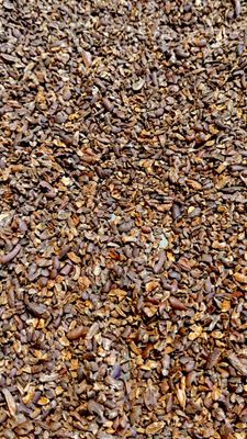 Cacao Nibs