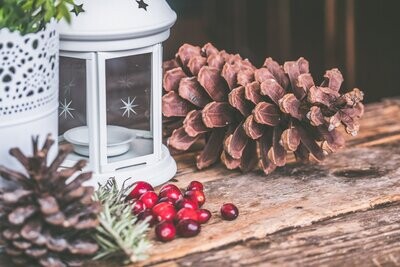 Seasonal Items