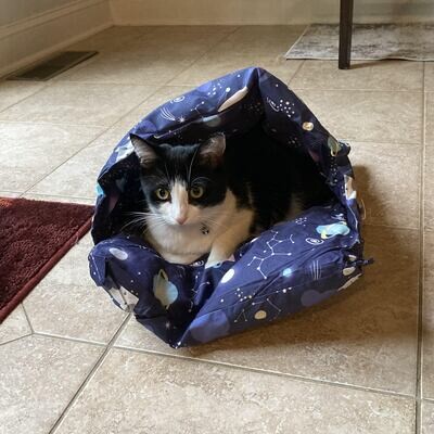 Space Cat Sleeping Bag Bed