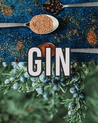 Gin