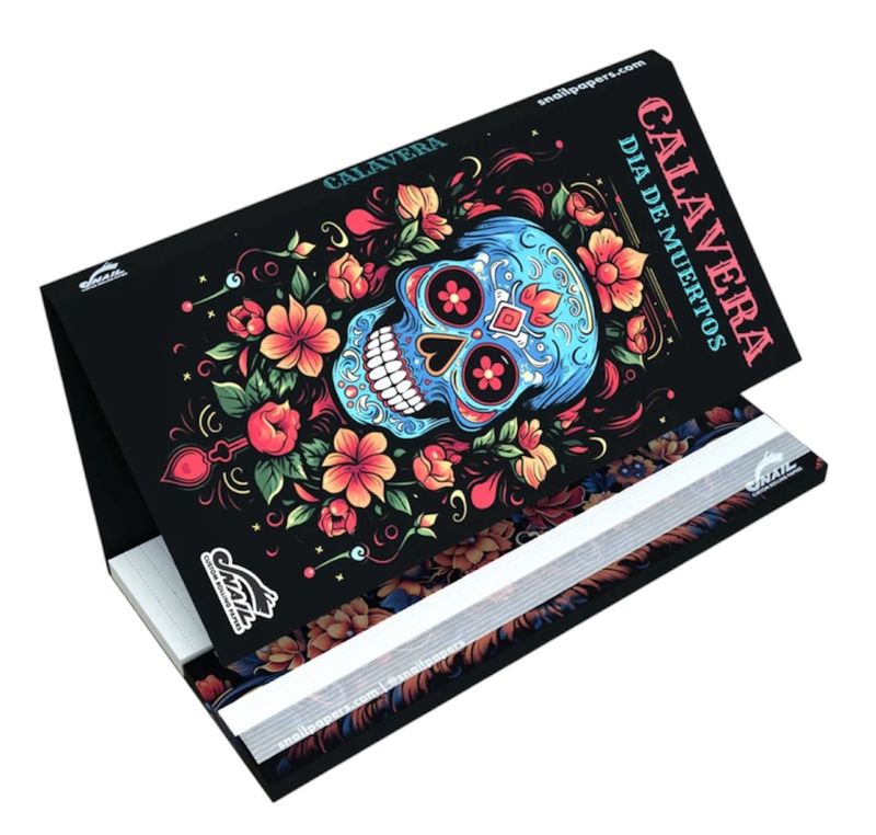 Calavera Dia De Muertos