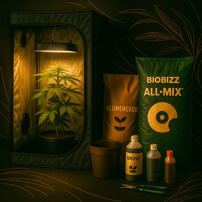 Hanfmann Growshop
