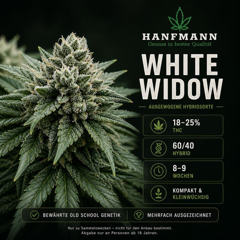 ? White Widow Hanfsamen 4 Stück ? White Widow Hanfsamen 4 Stück