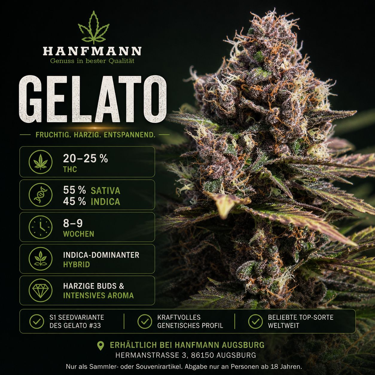 Gelato Hanfsamen 3 Samen