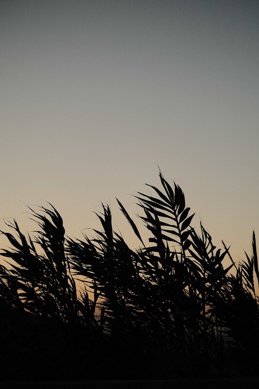 SUMMER No.3