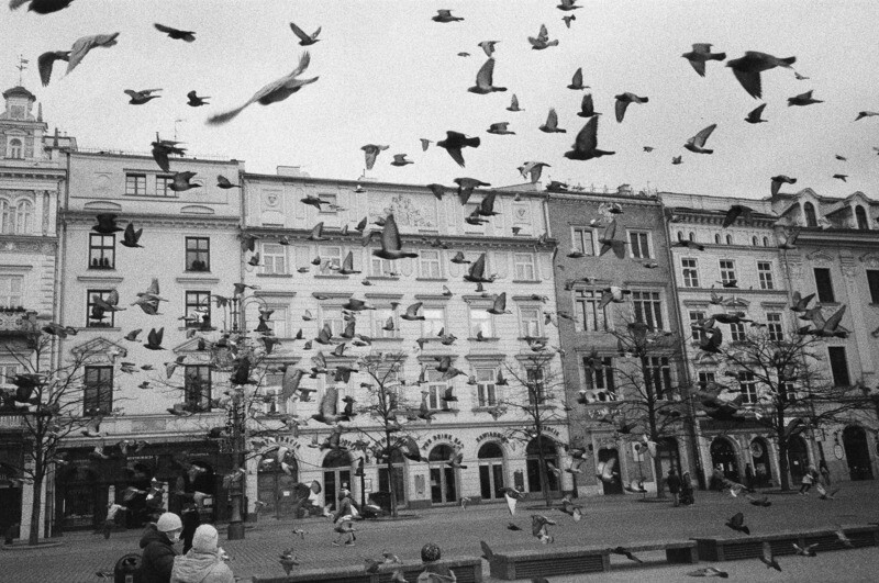 CRACOW