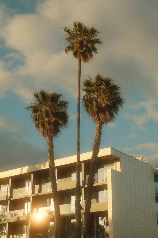 CALI No.3
