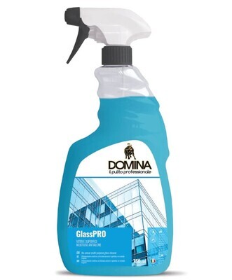 Detergente pulitore vetri 750ml (6 Pezzi)