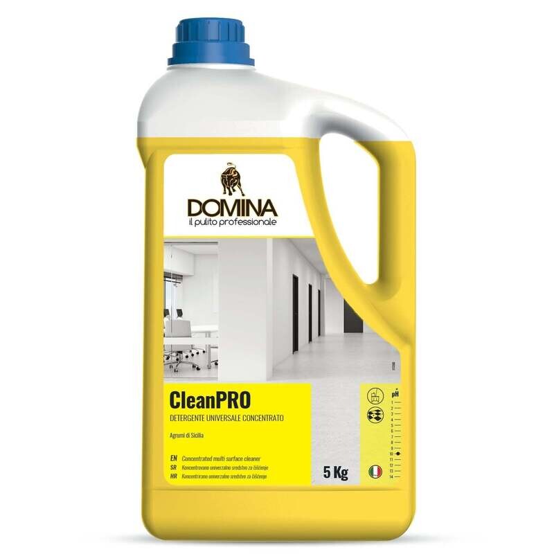 Detergente professionale pavimenti 5Kg