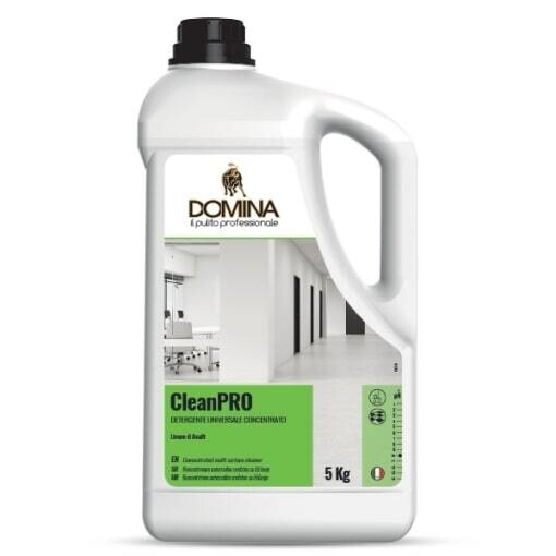 Detergente professionale pavimenti 5Kg