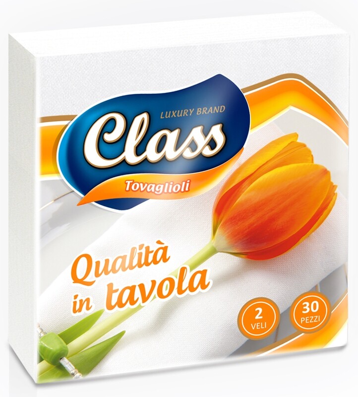 1080 Tovaglioli Bianchi 2 Veli  32x33cm