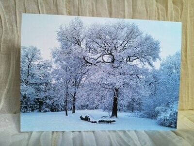 Winter woodland card