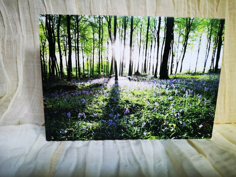 Spring Bluebells card