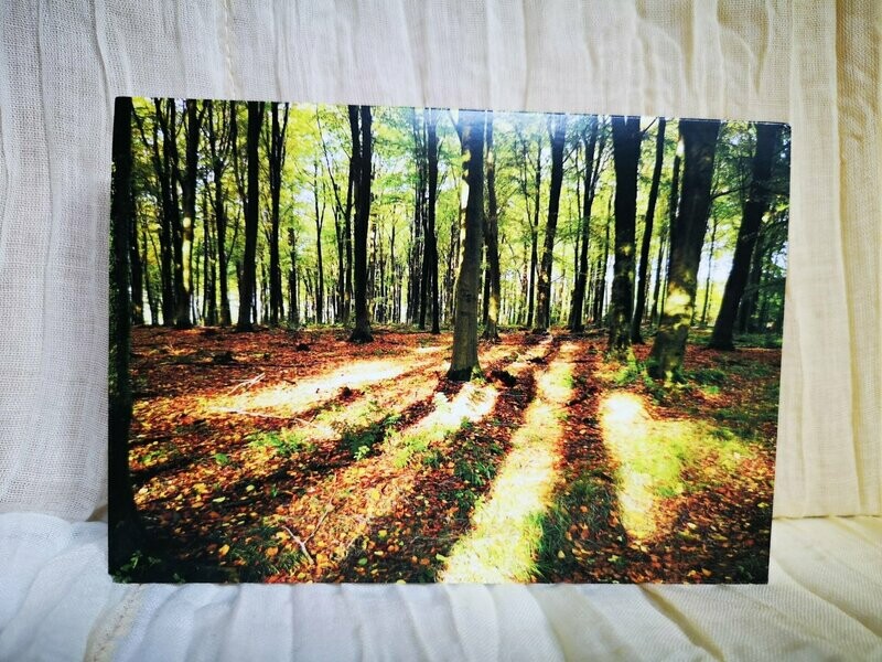 Autumn leaves cards