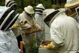 Beekeeping Class - Couple - March 26th 2022