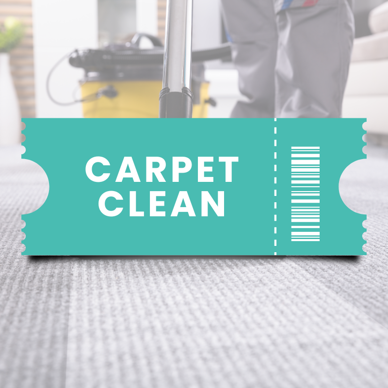 3 Bedroom House Carpet Clean