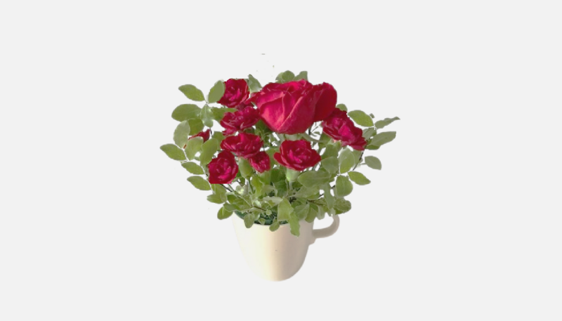 Assorted Roses (Red) and Mini Carnations in a Mug/Glass