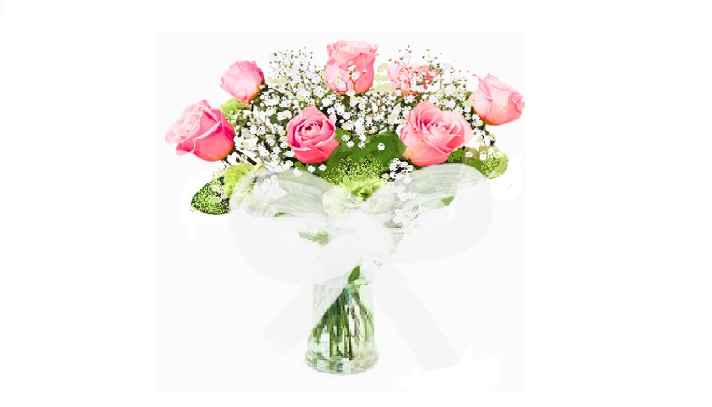Dozen Roses (Pink)