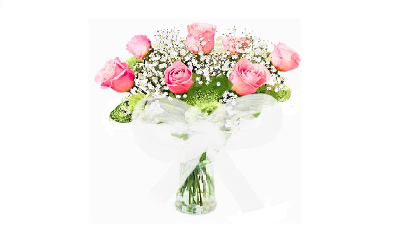Dozen Roses (Pink)